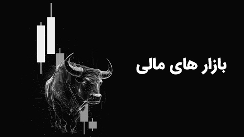 نمونه ریلز بازار های مالی
